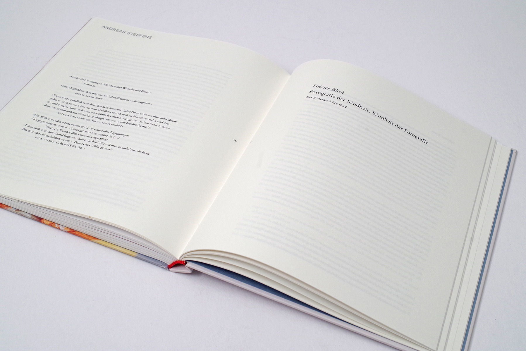 hans schumacher projektgrafik