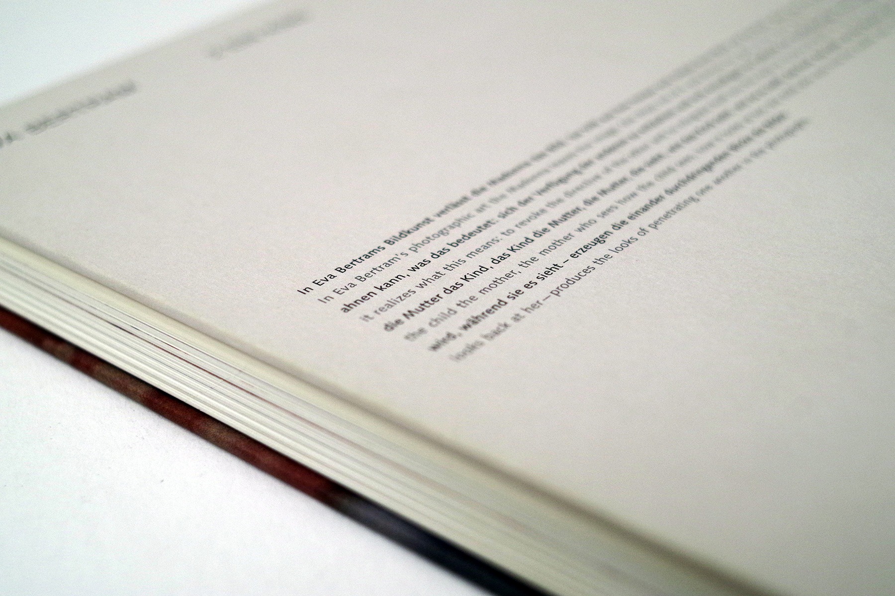hans schumacher projektgrafik