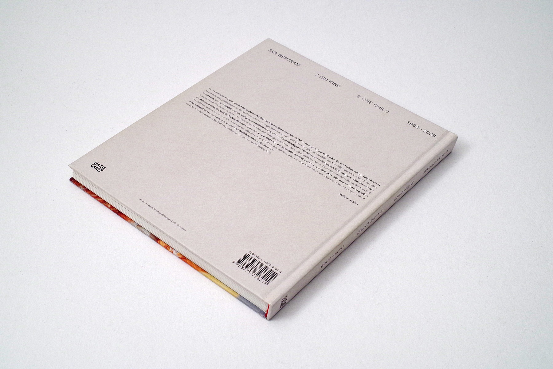 hans schumacher projektgrafik