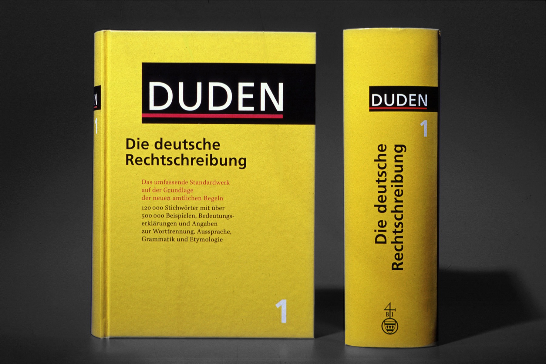 hans schumacher projektgrafik