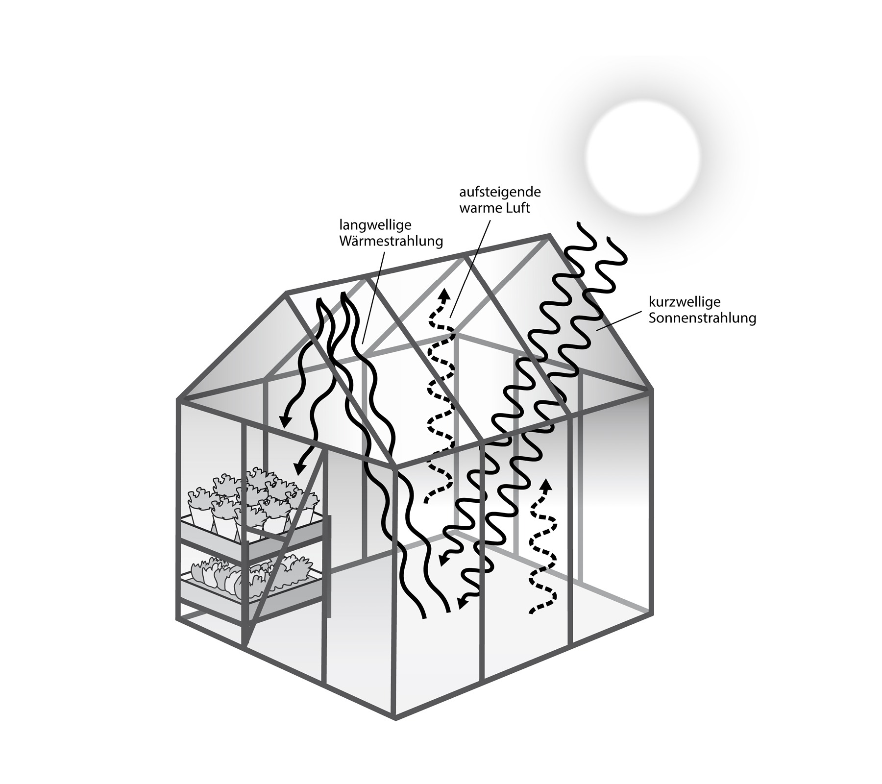 hans schumacher projektgrafik