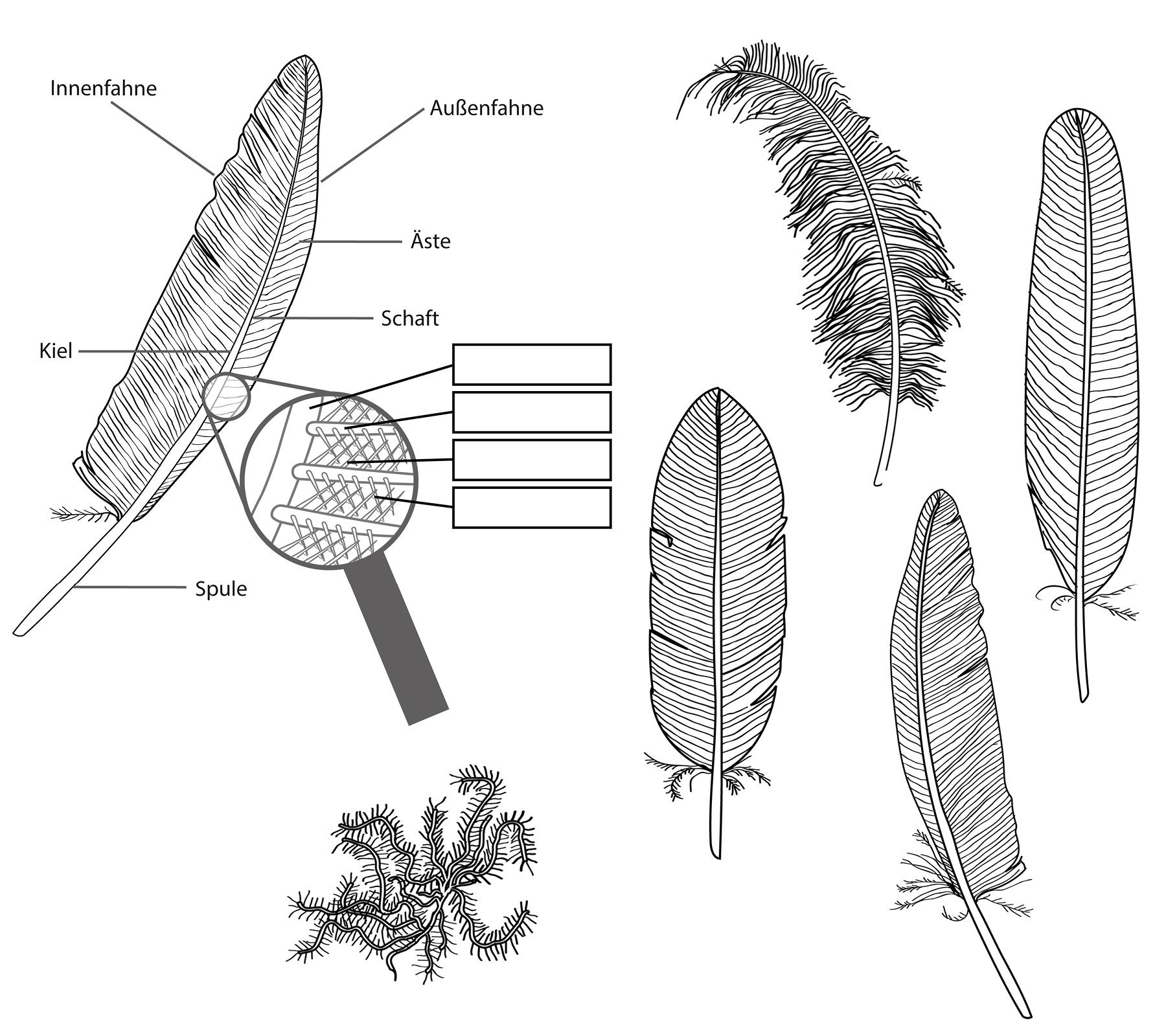 hans schumacher projektgrafik