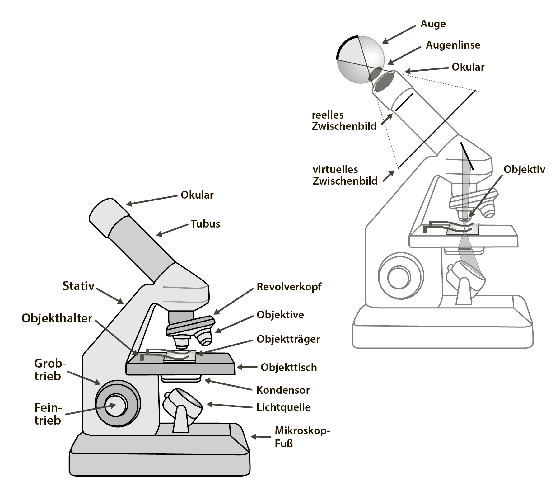 hans schumacher projektgrafik
