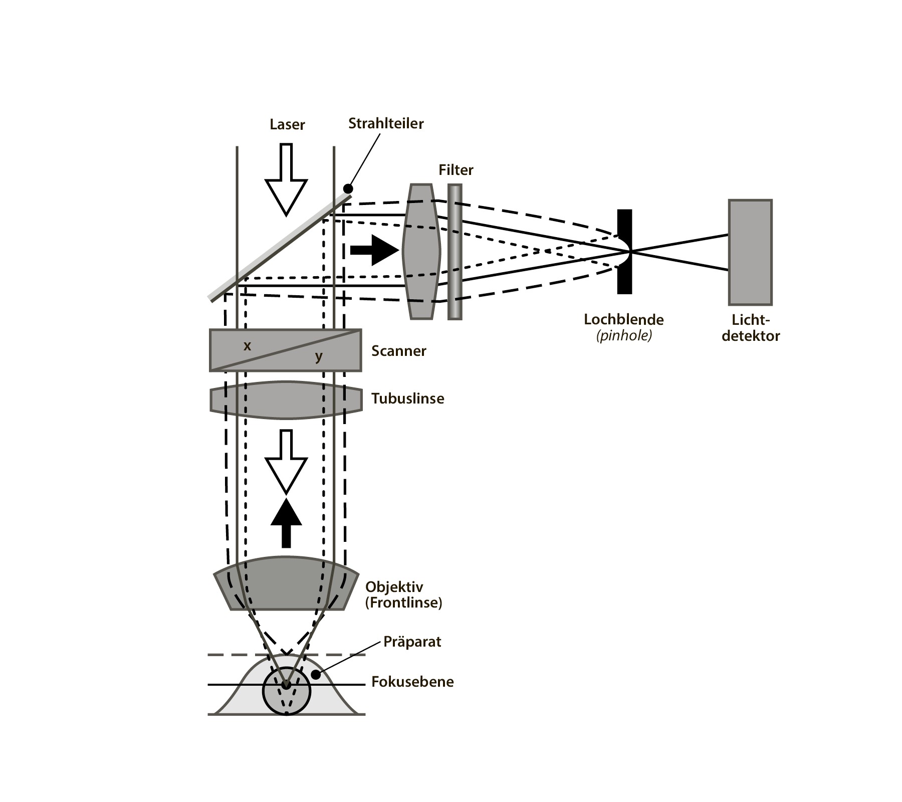 hans schumacher projektgrafik
