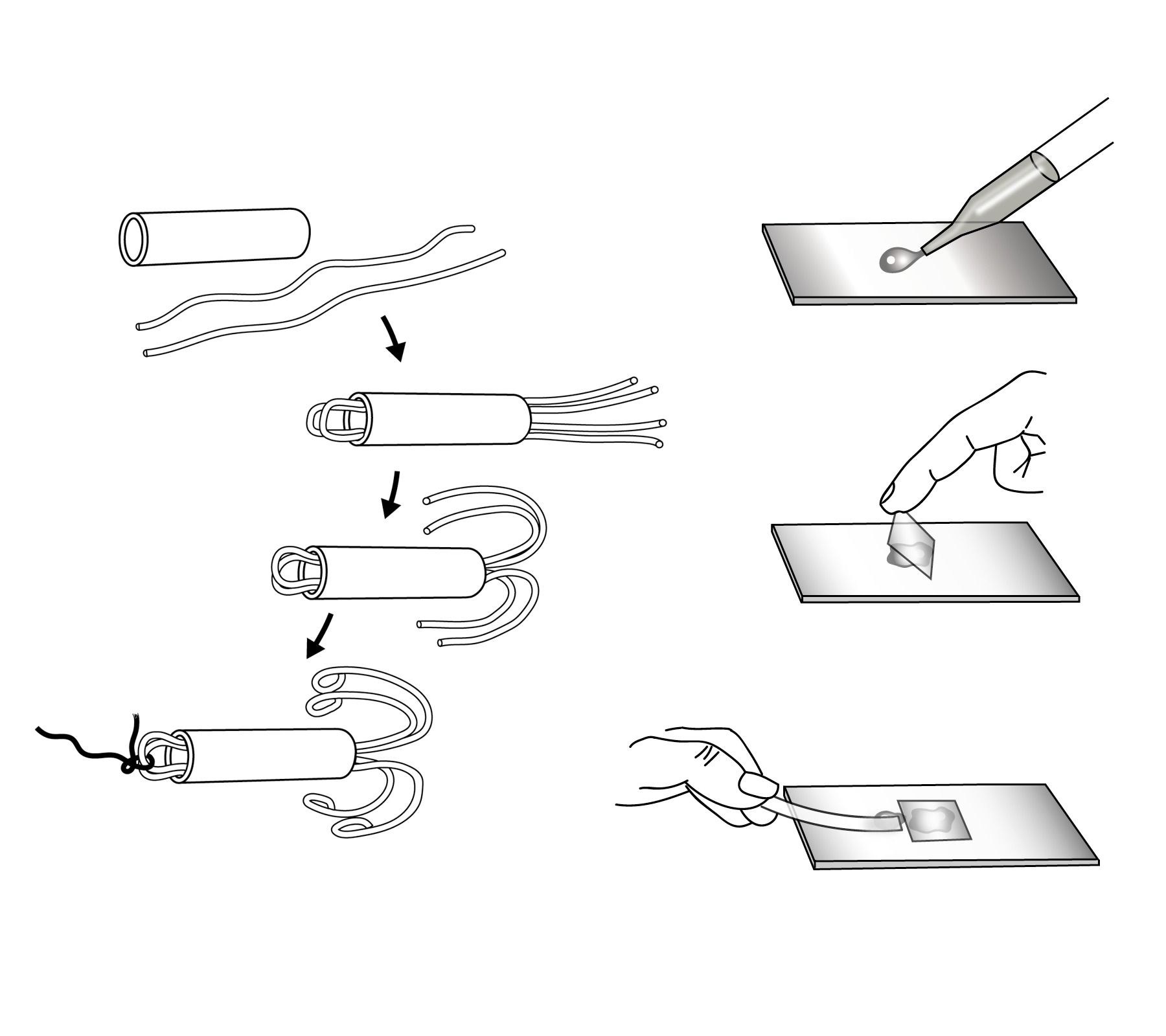 hans schumacher projektgrafik