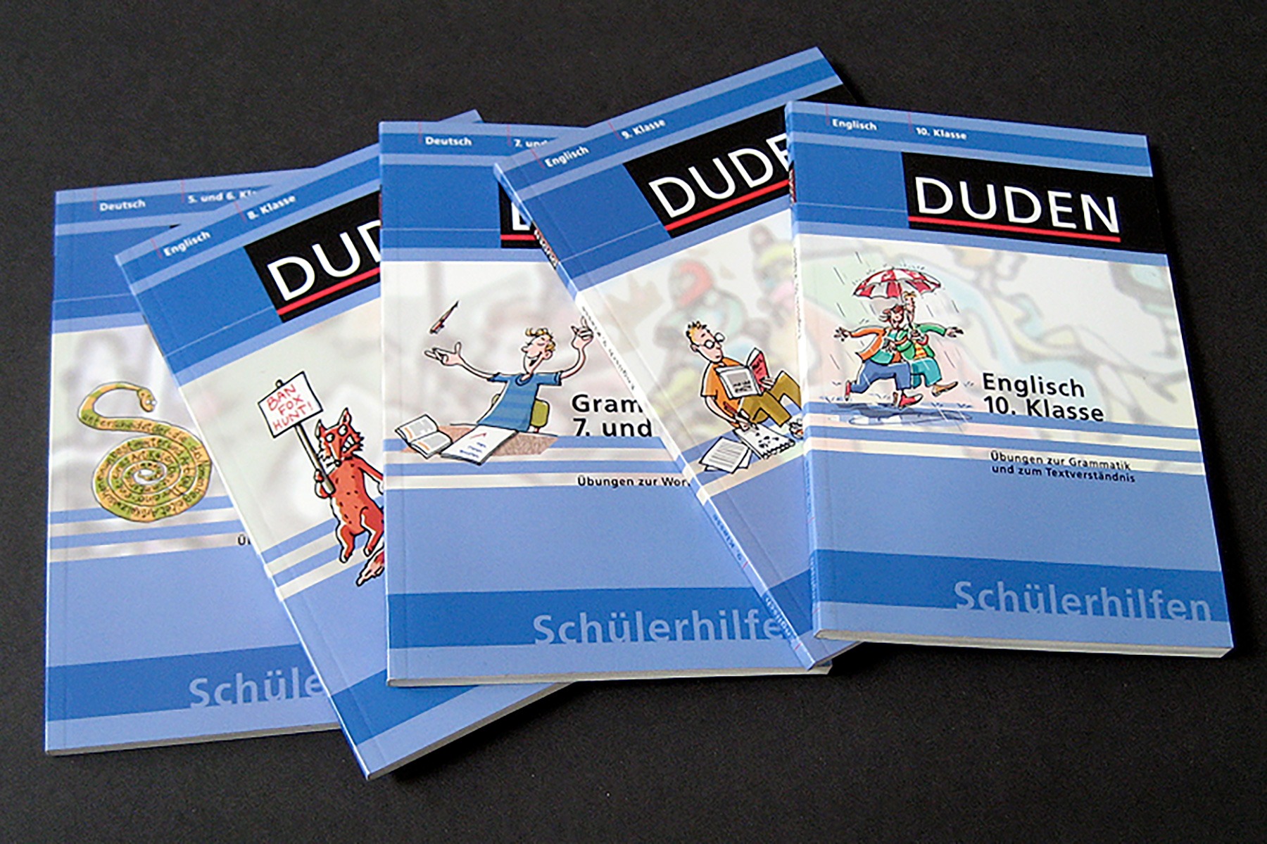 hans schumacher projektgrafik