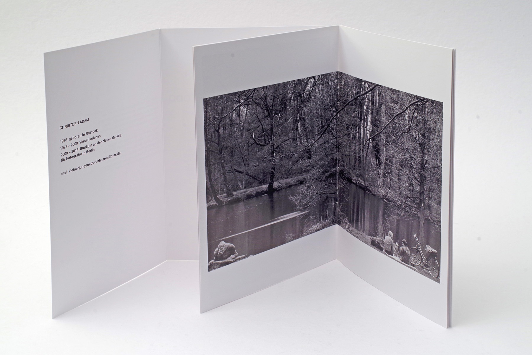 hans schumacher projektgrafik