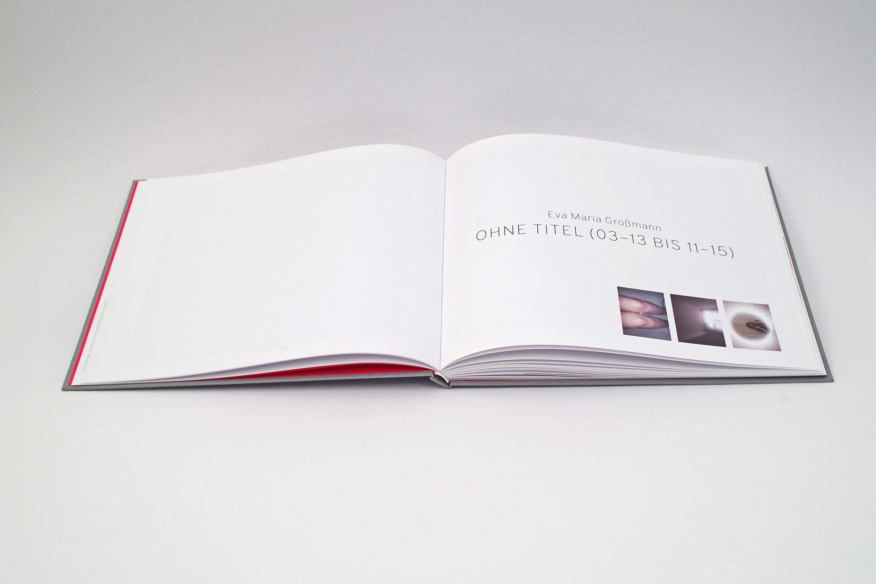 hans schumacher projektgrafik