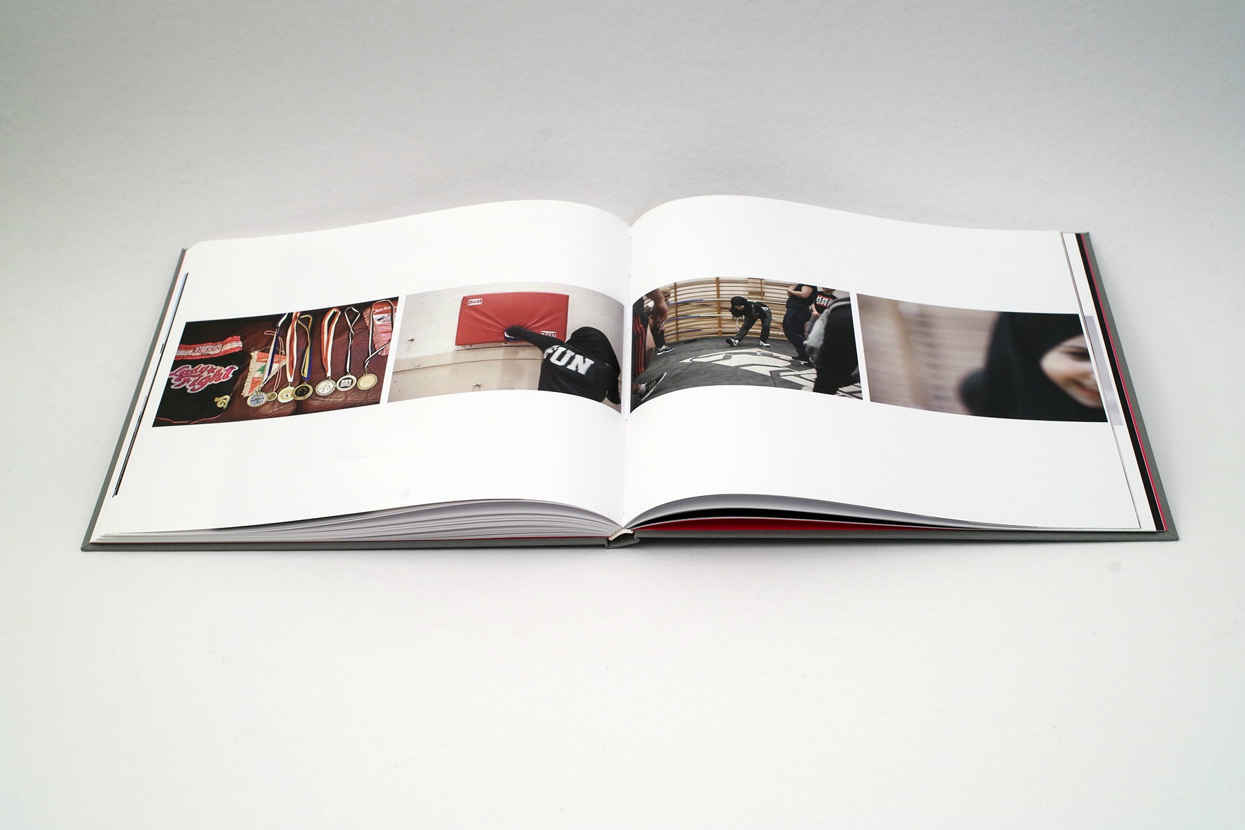 hans schumacher projektgrafik