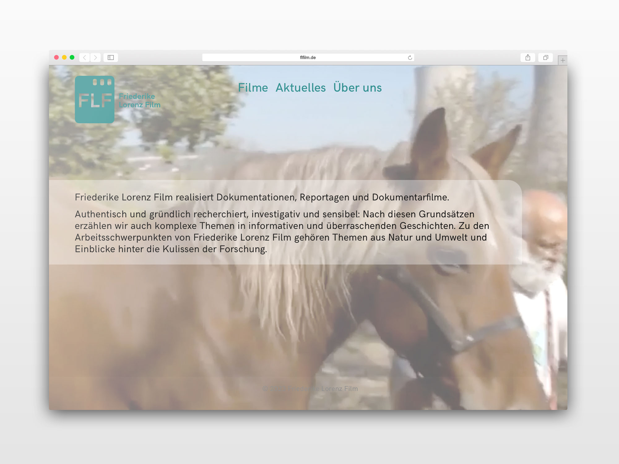 hans schumacher projektgrafik