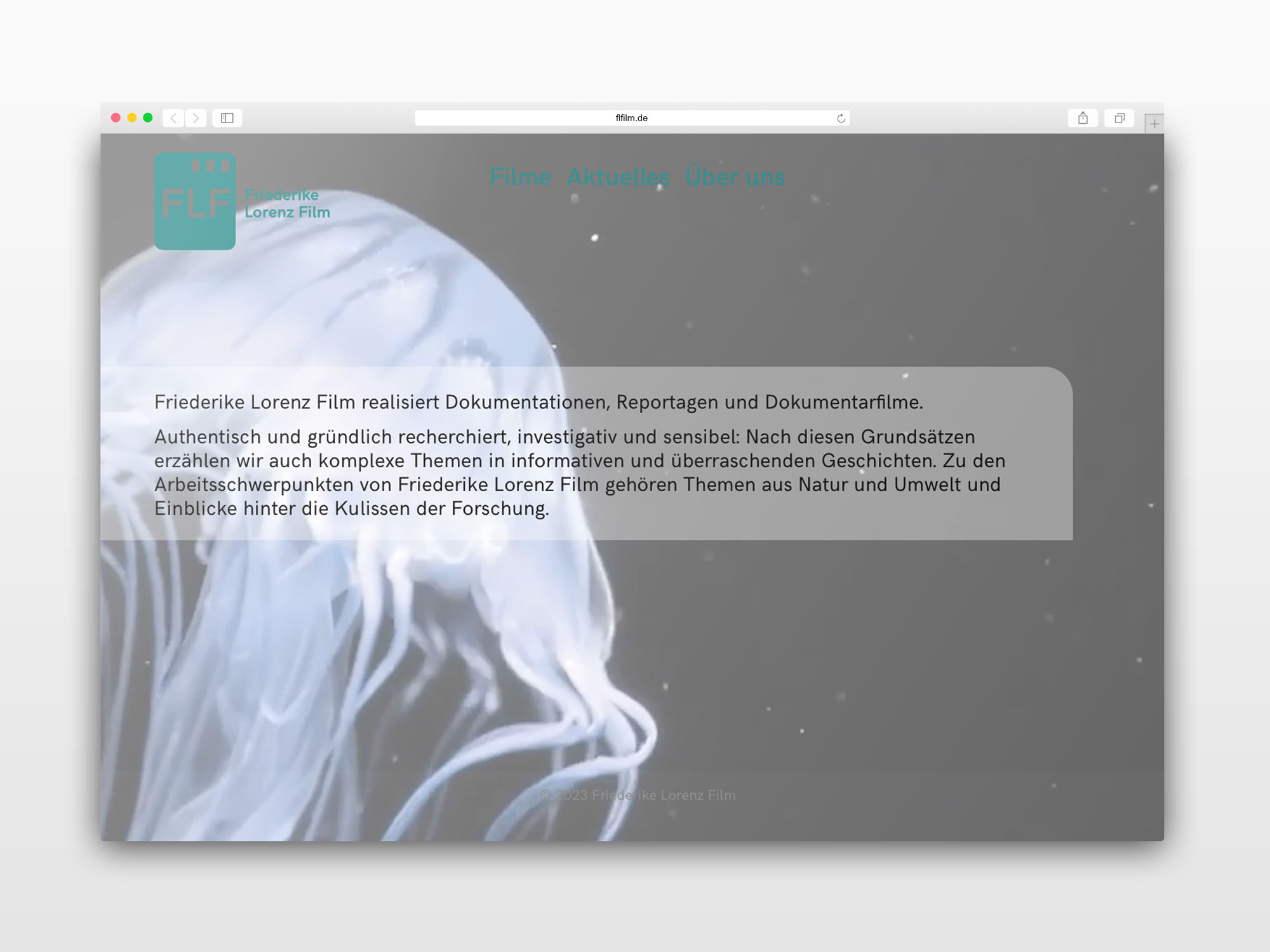 hans schumacher projektgrafik