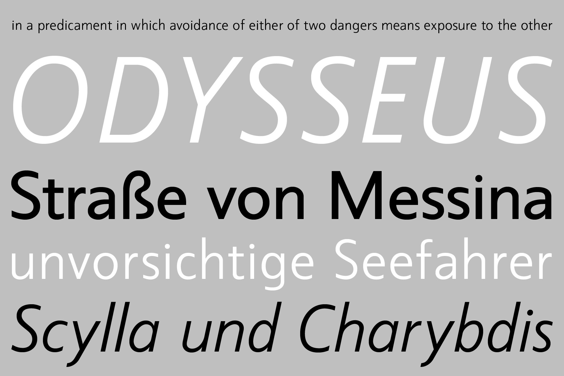 hans schumacher projektgrafik