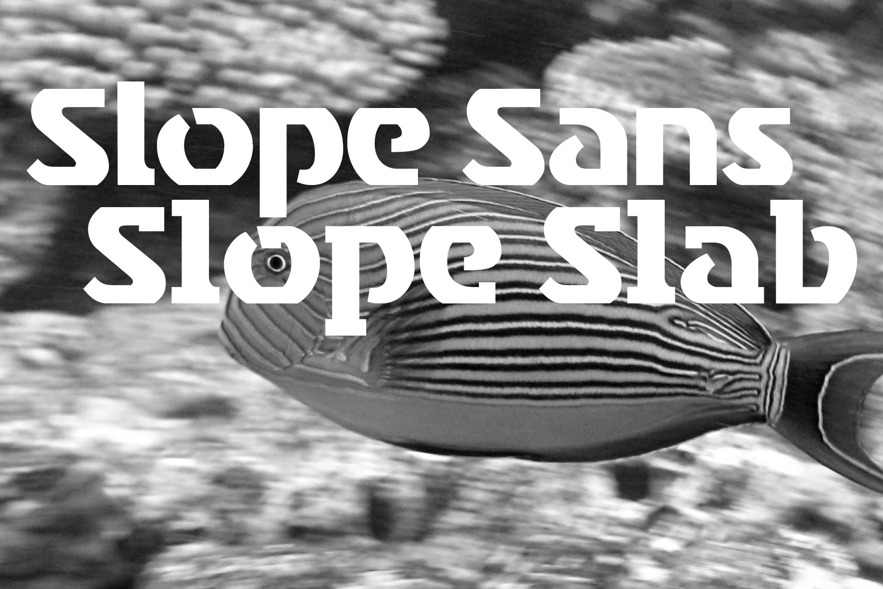 hans schumacher projektgrafik