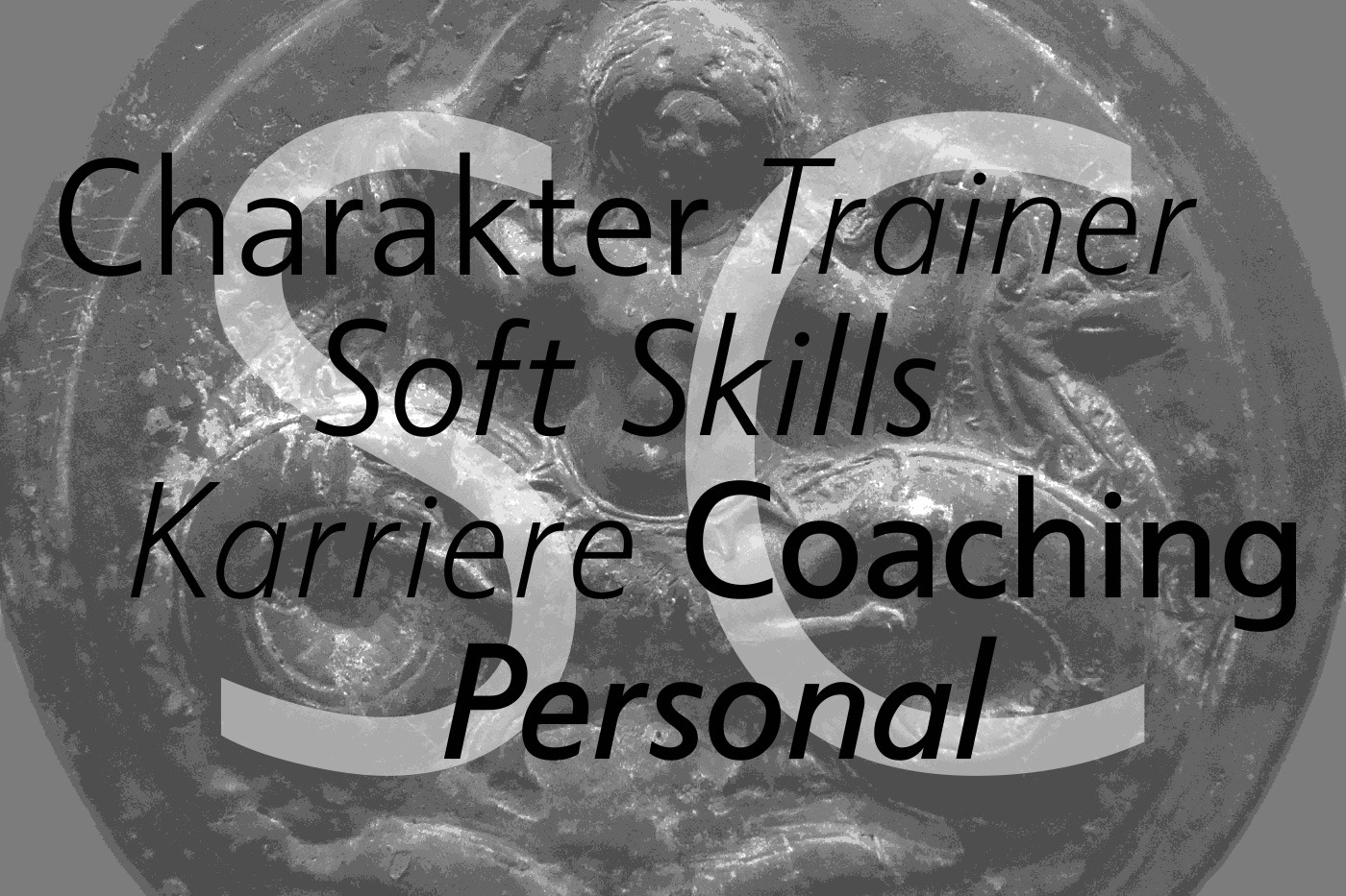 hans schumacher projektgrafik