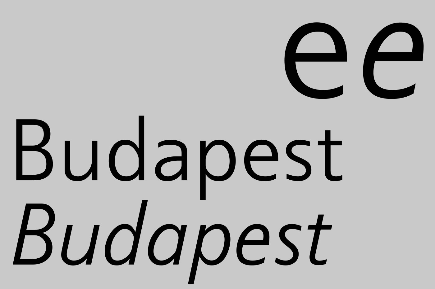 hans schumacher projektgrafik