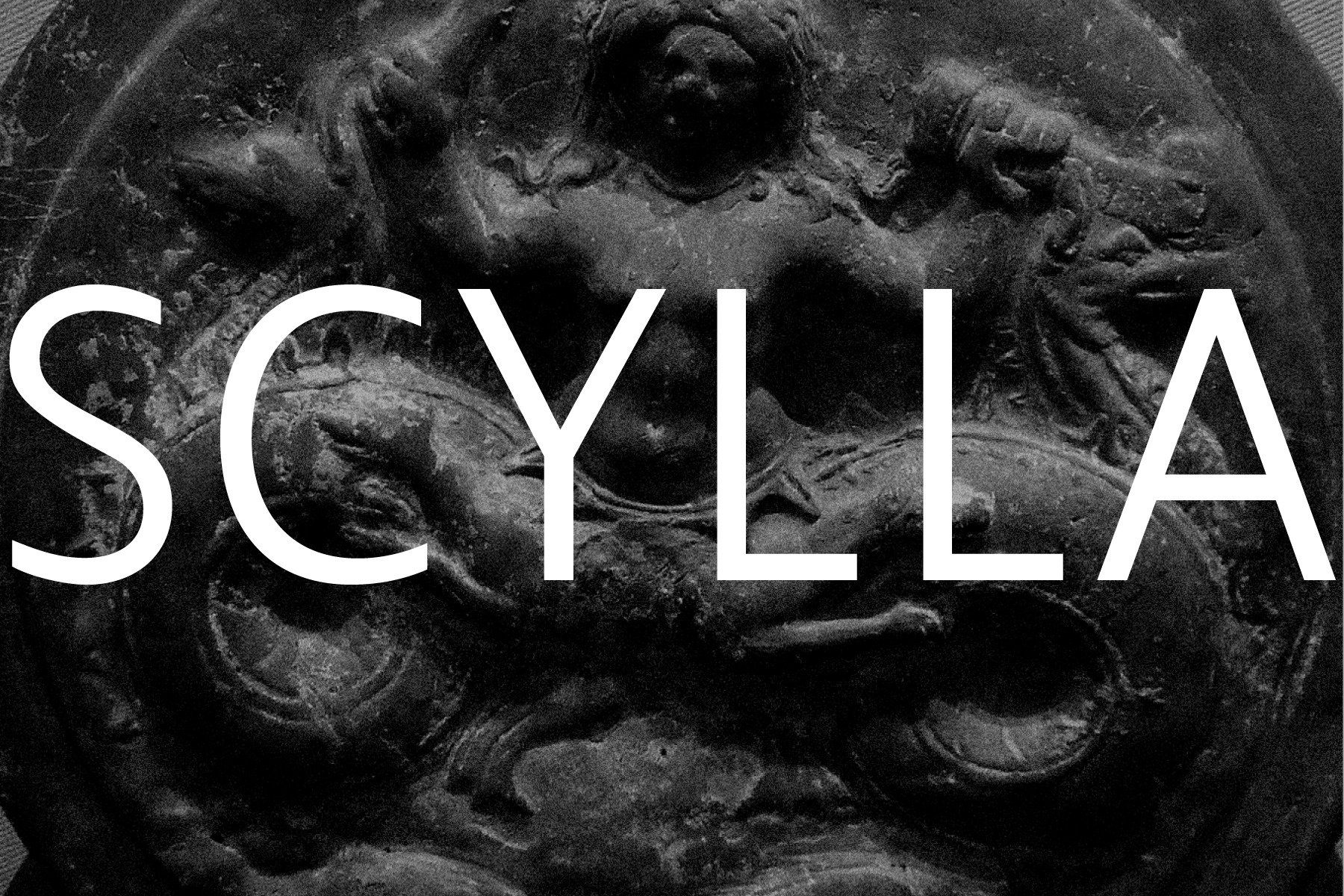 hans schumacher projektgrafik