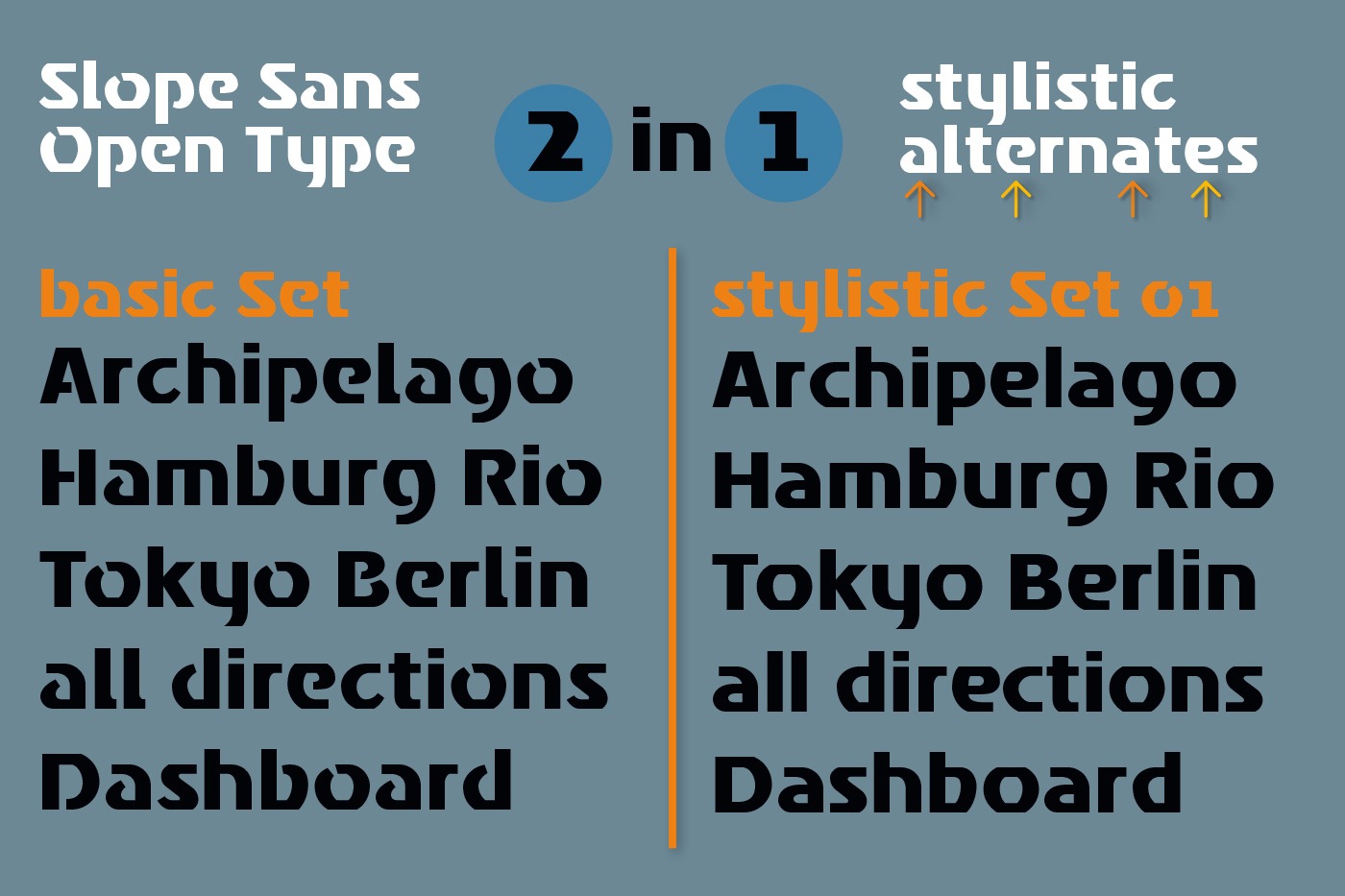hans schumacher projektgrafik