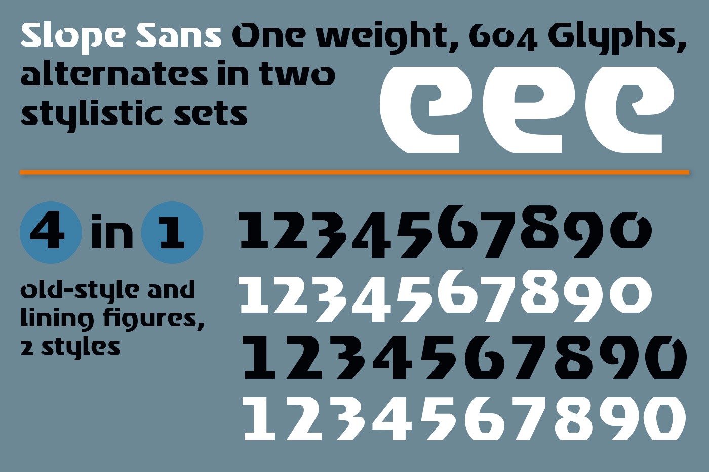 hans schumacher projektgrafik