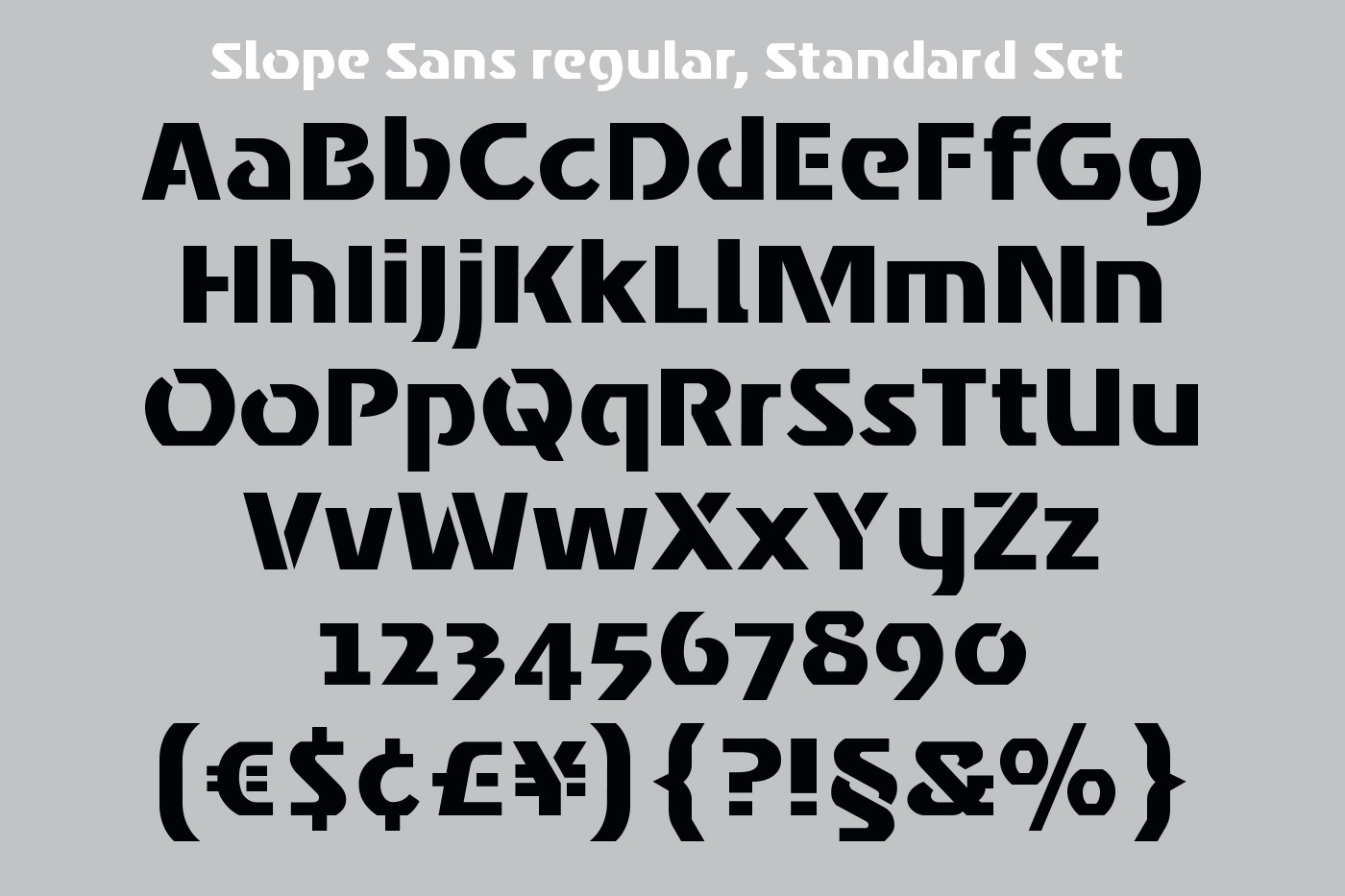 hans schumacher projektgrafik