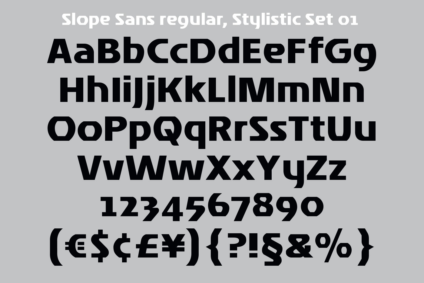 hans schumacher projektgrafik