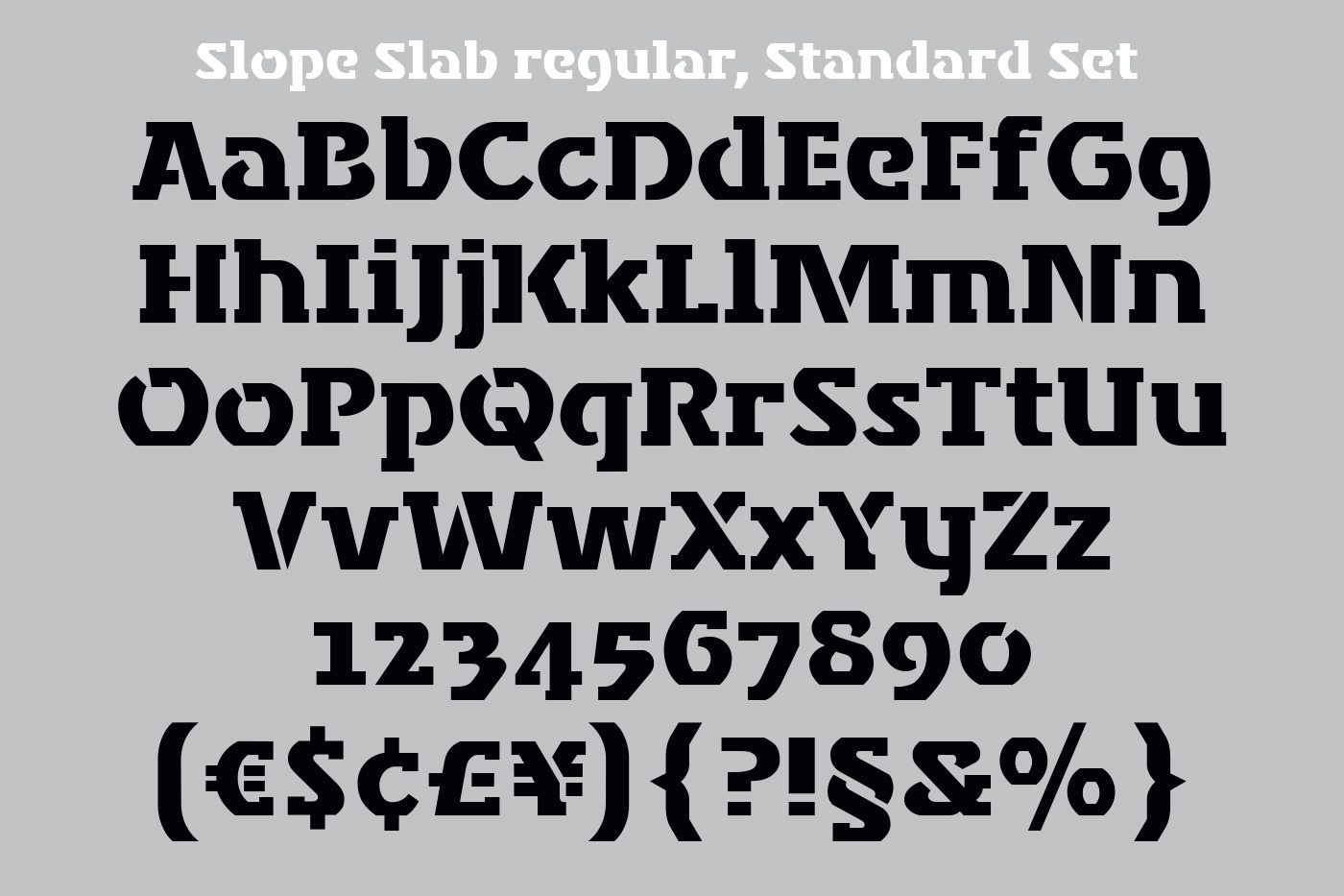 hans schumacher projektgrafik