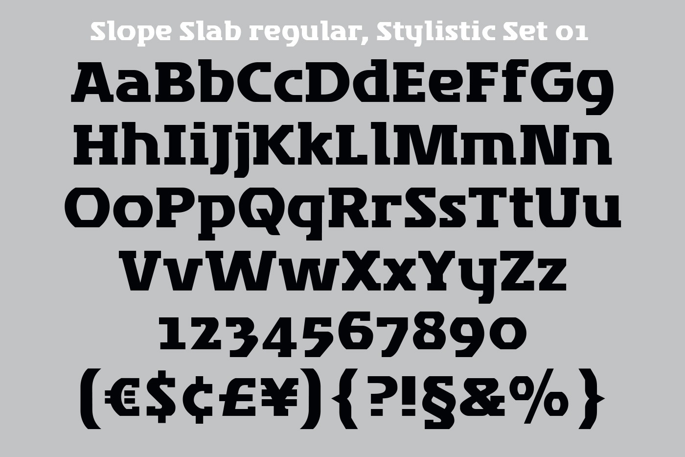 hans schumacher projektgrafik