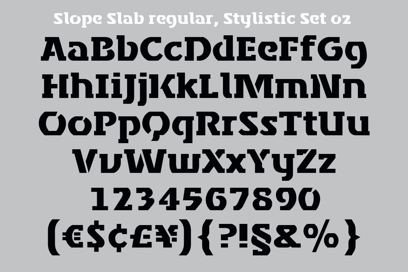 hans schumacher projektgrafik