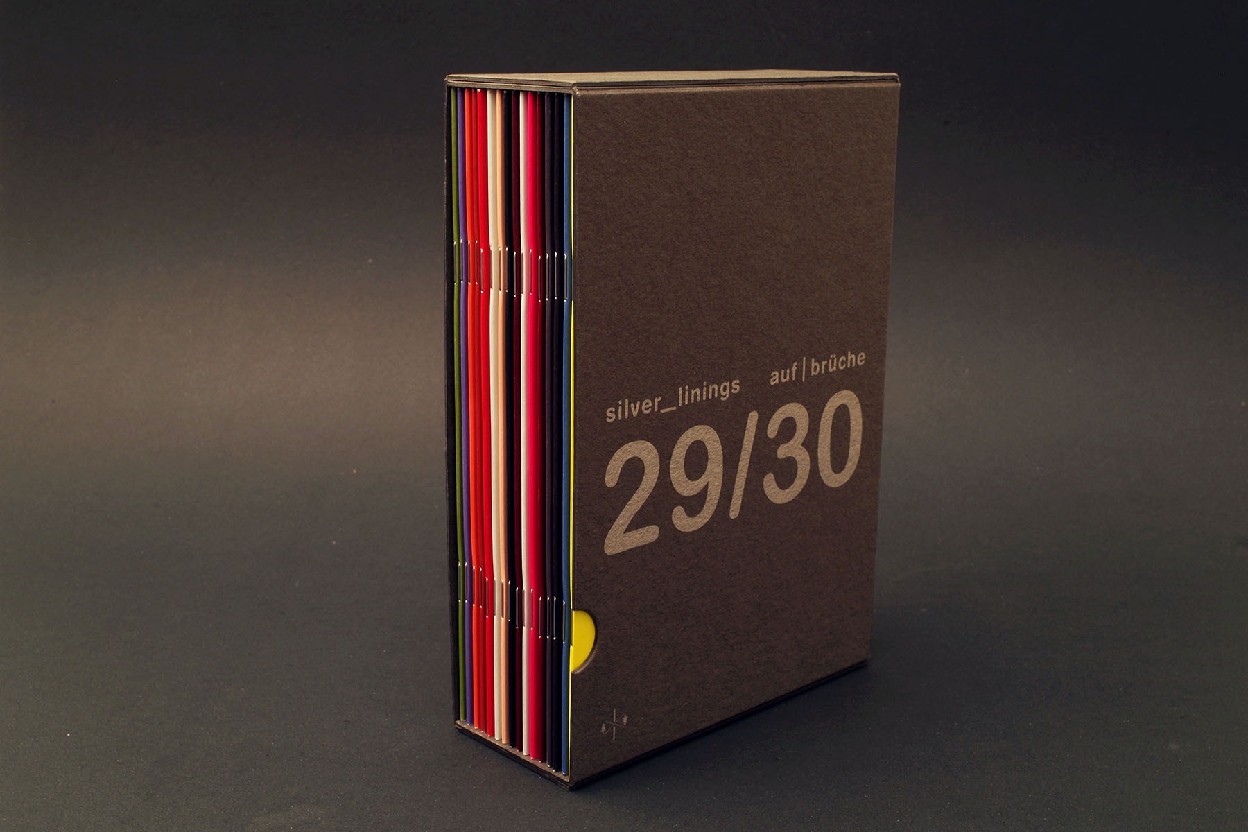 hans schumacher projektgrafik