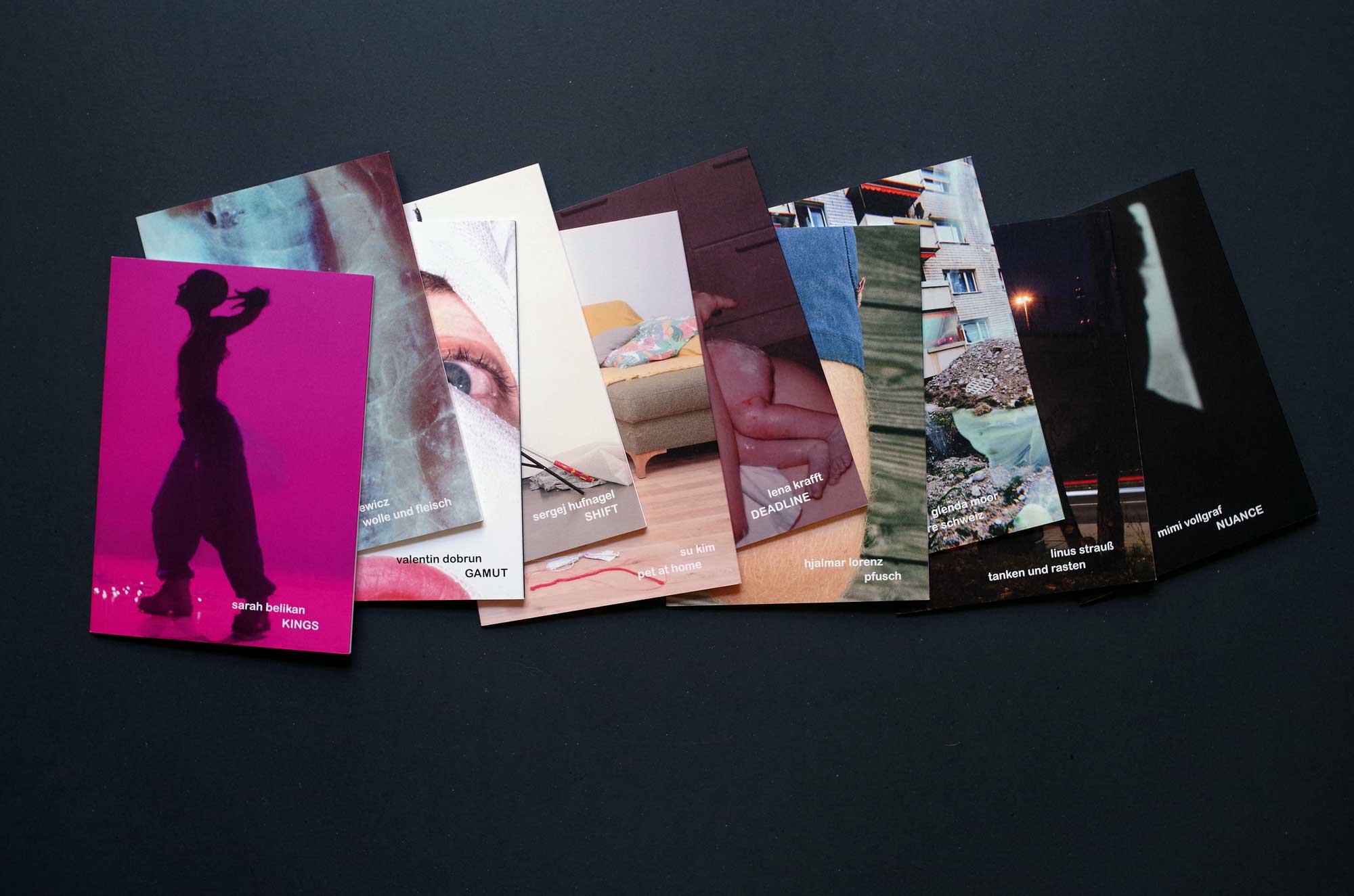 hans schumacher projektgrafik