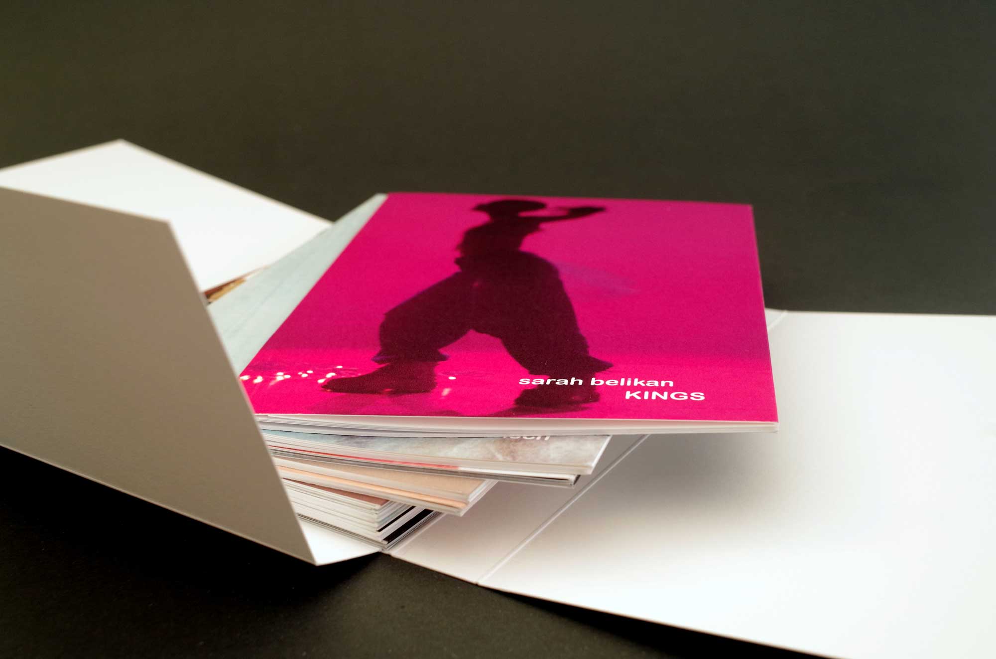 hans schumacher projektgrafik