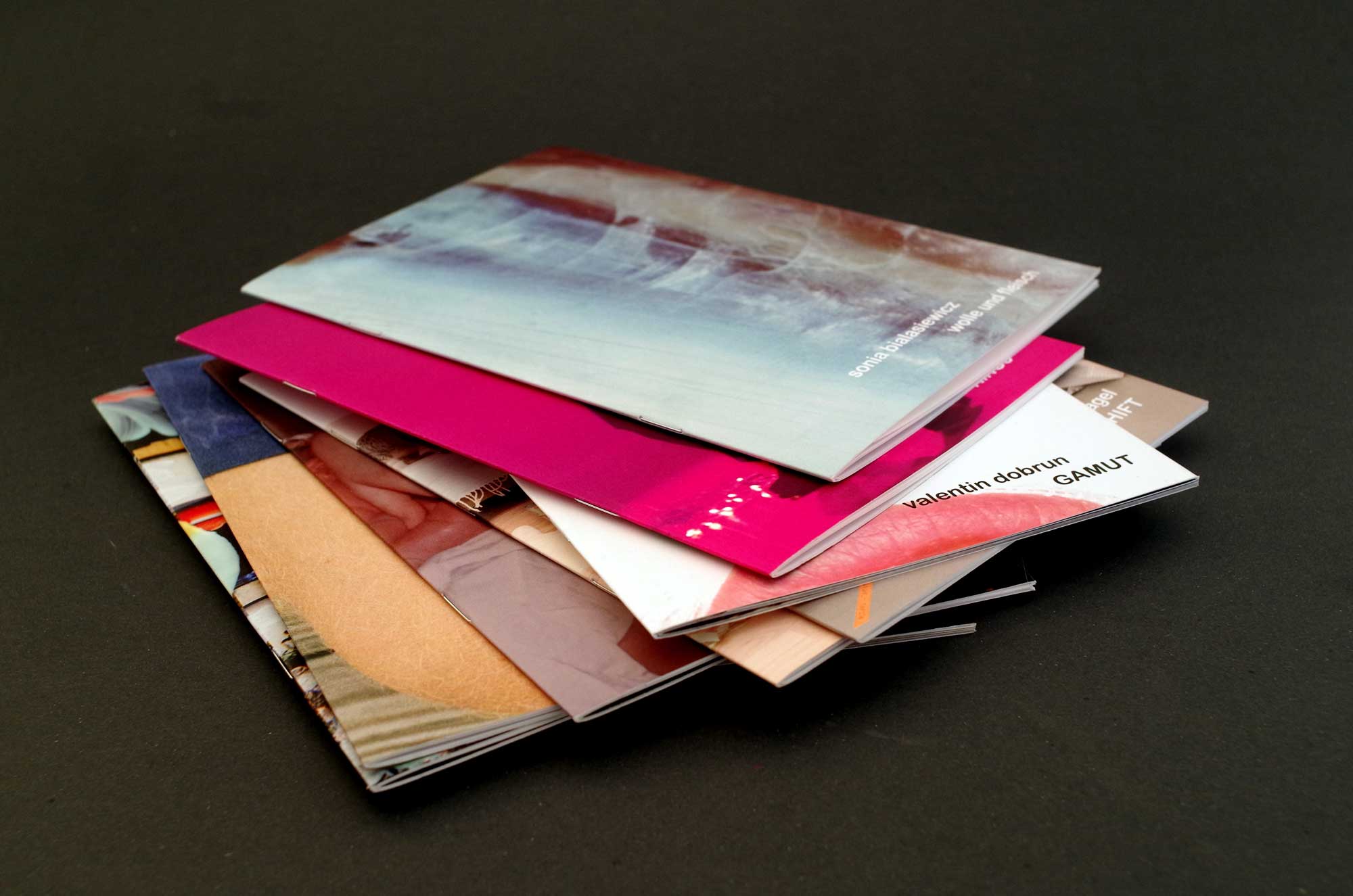 hans schumacher projektgrafik