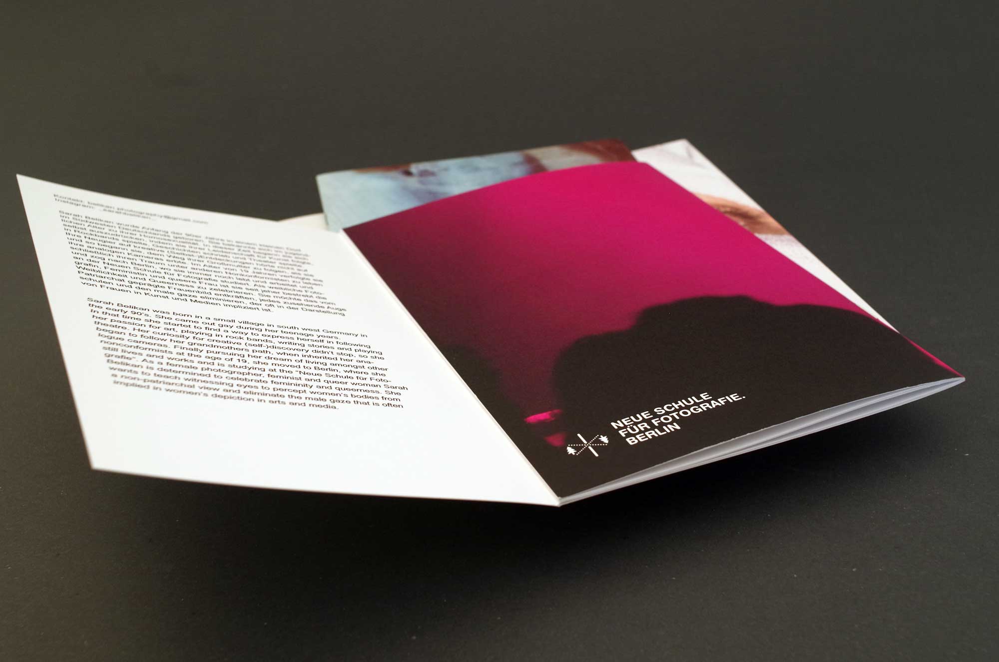 hans schumacher projektgrafik