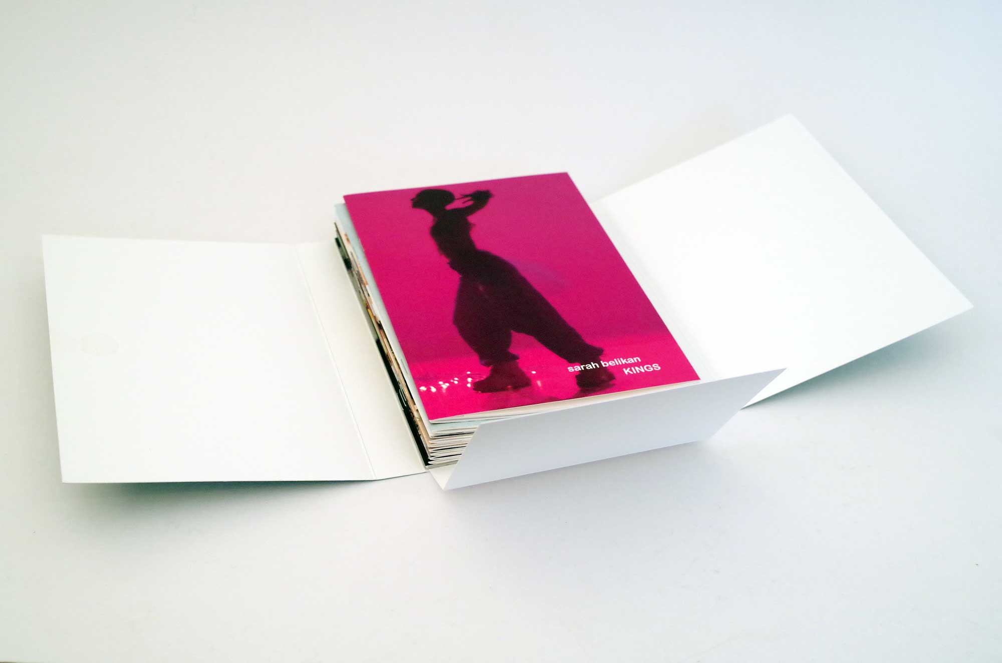 hans schumacher projektgrafik