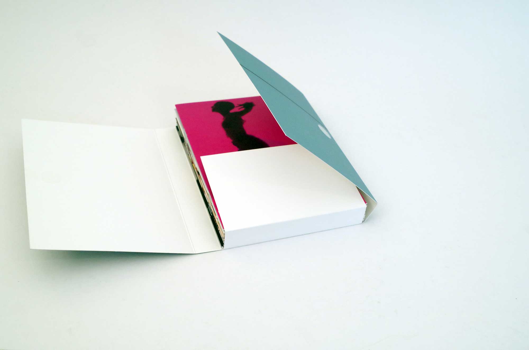 hans schumacher projektgrafik