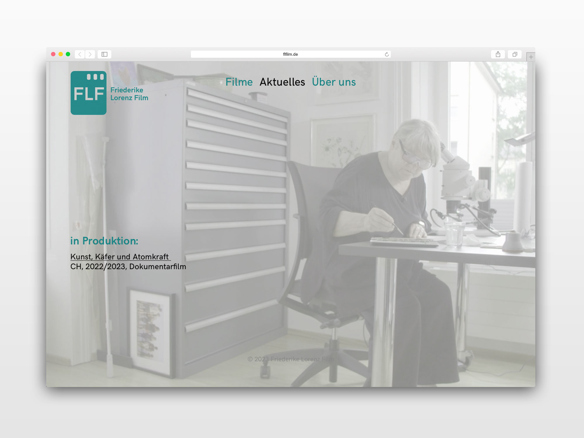 hans schumacher projektgrafik
