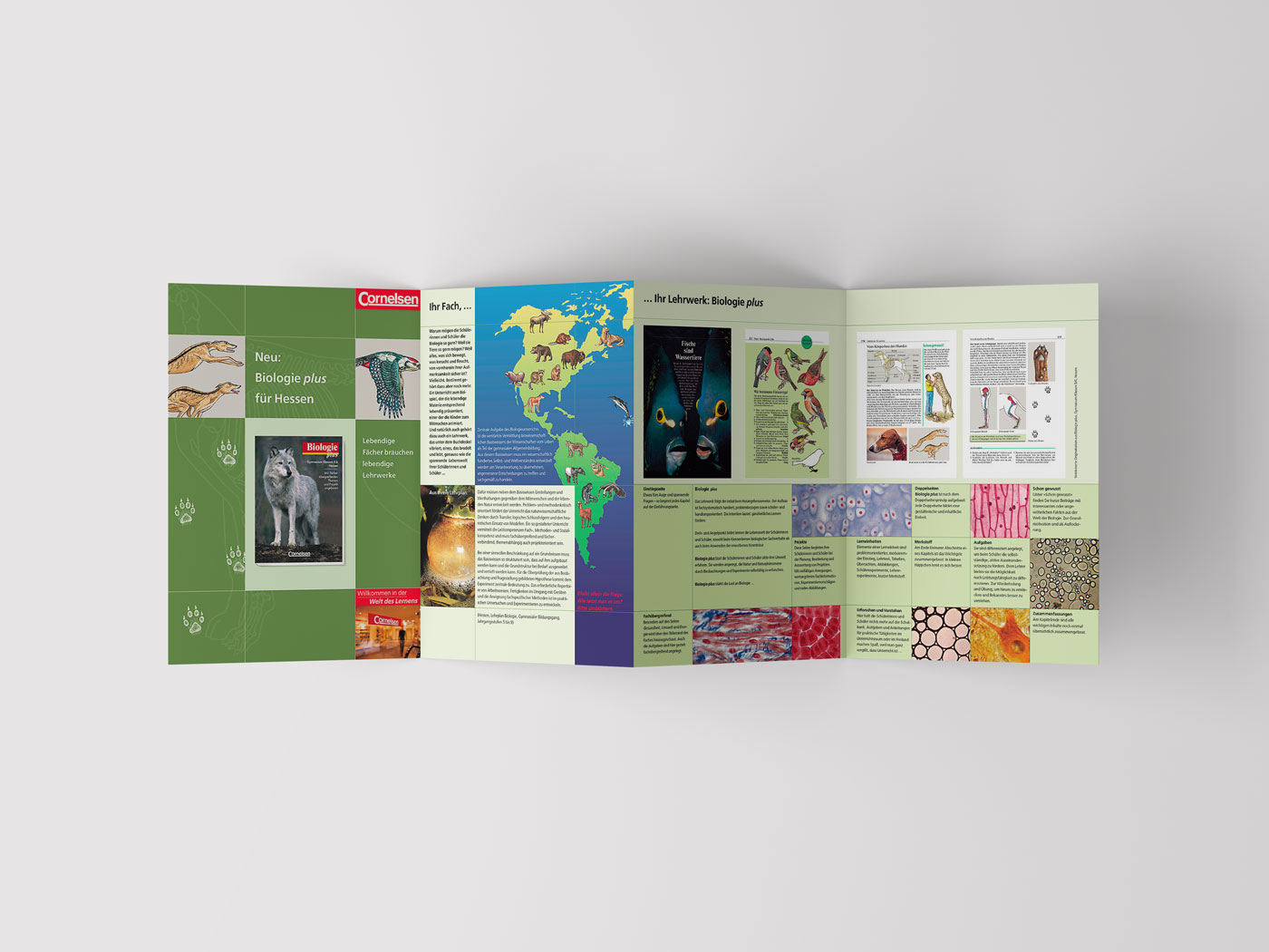 hans schumacher projektgrafik