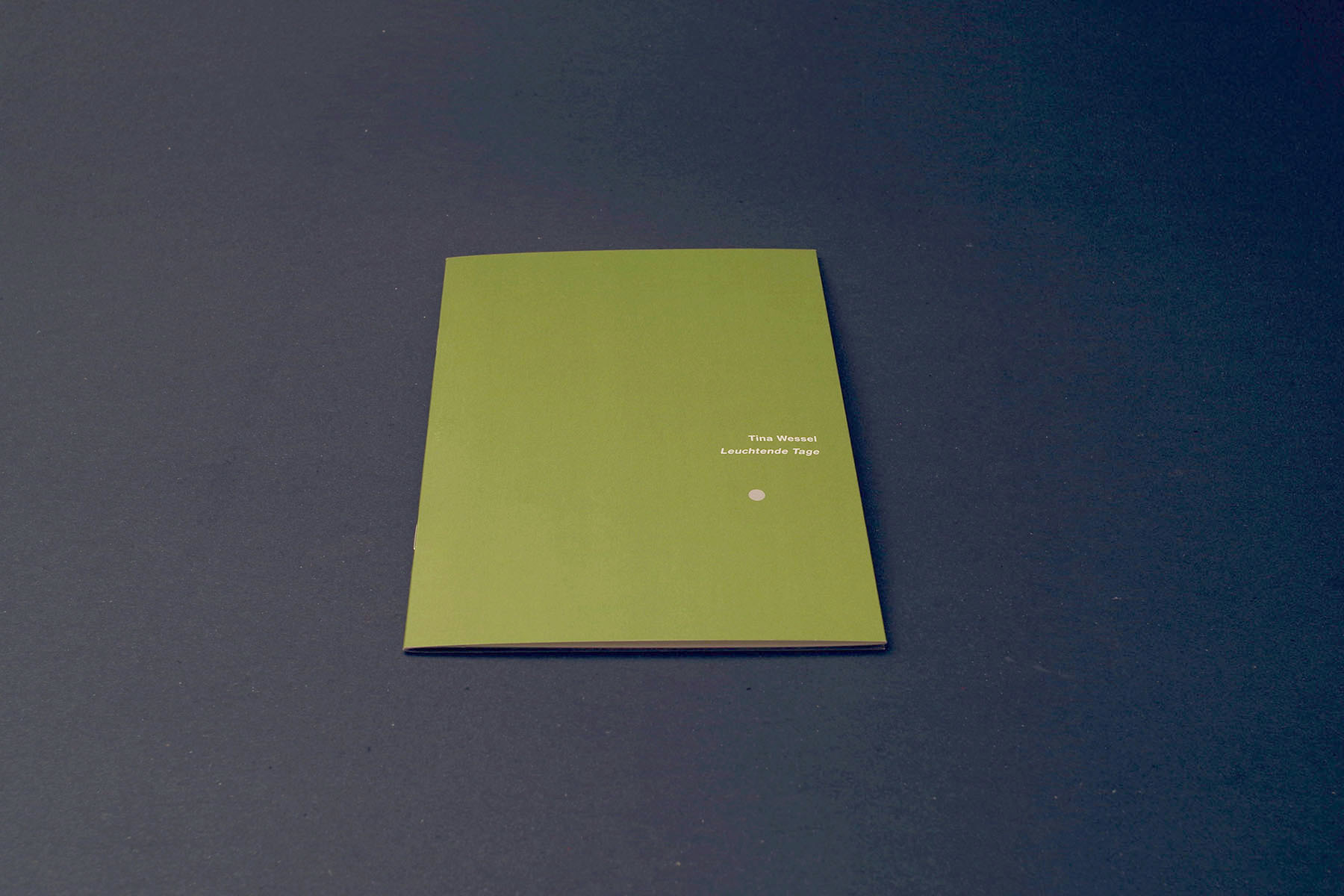 hans schumacher projektgrafik