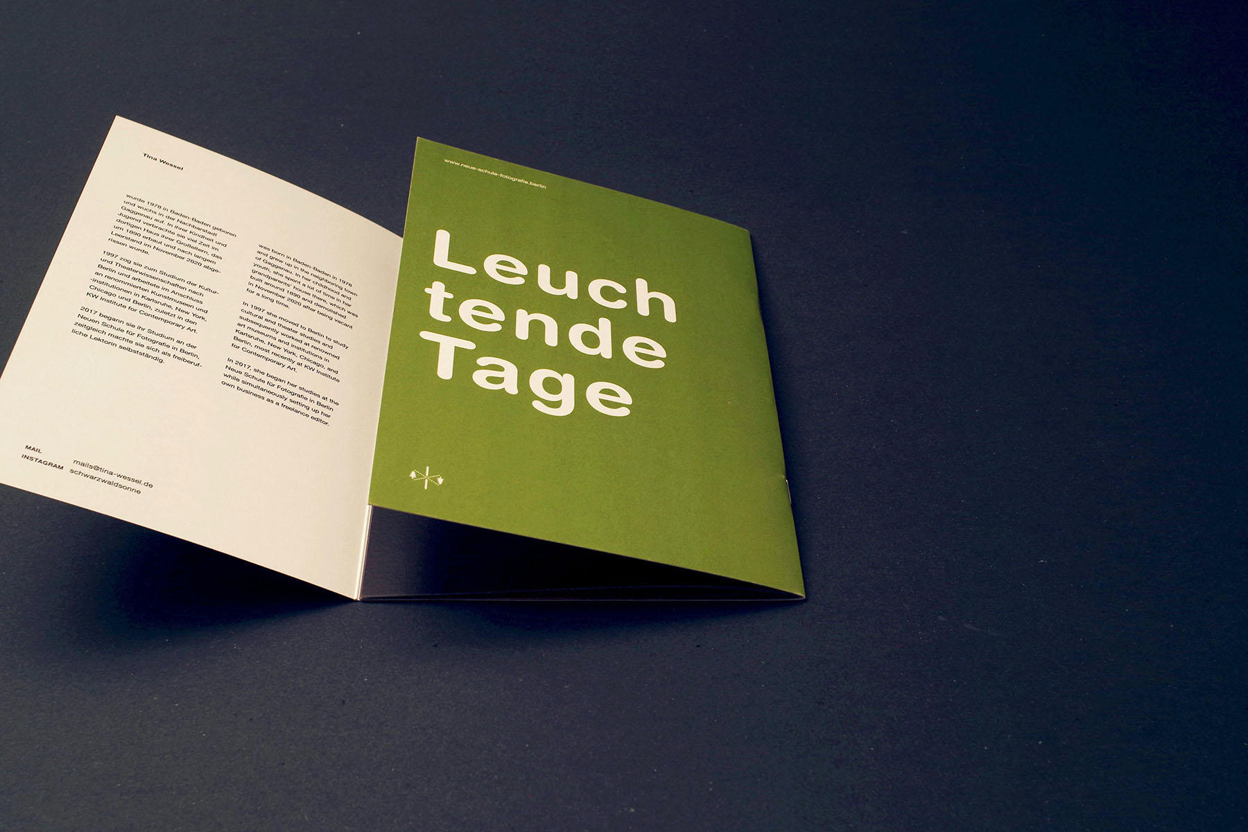 hans schumacher projektgrafik