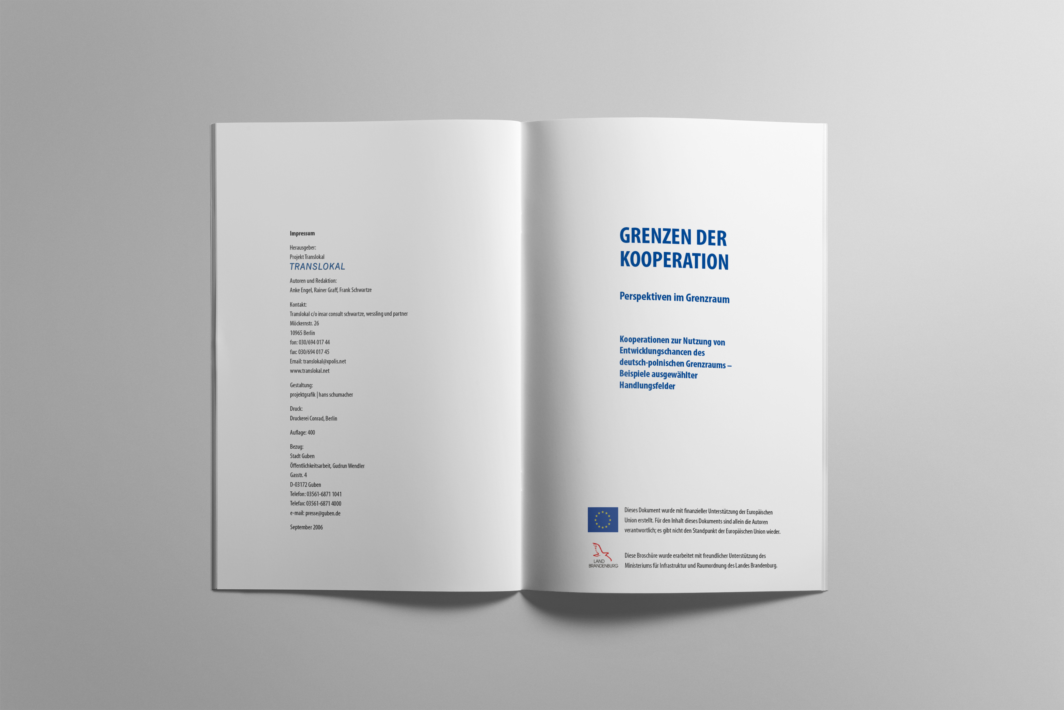 hans schumacher projektgrafik