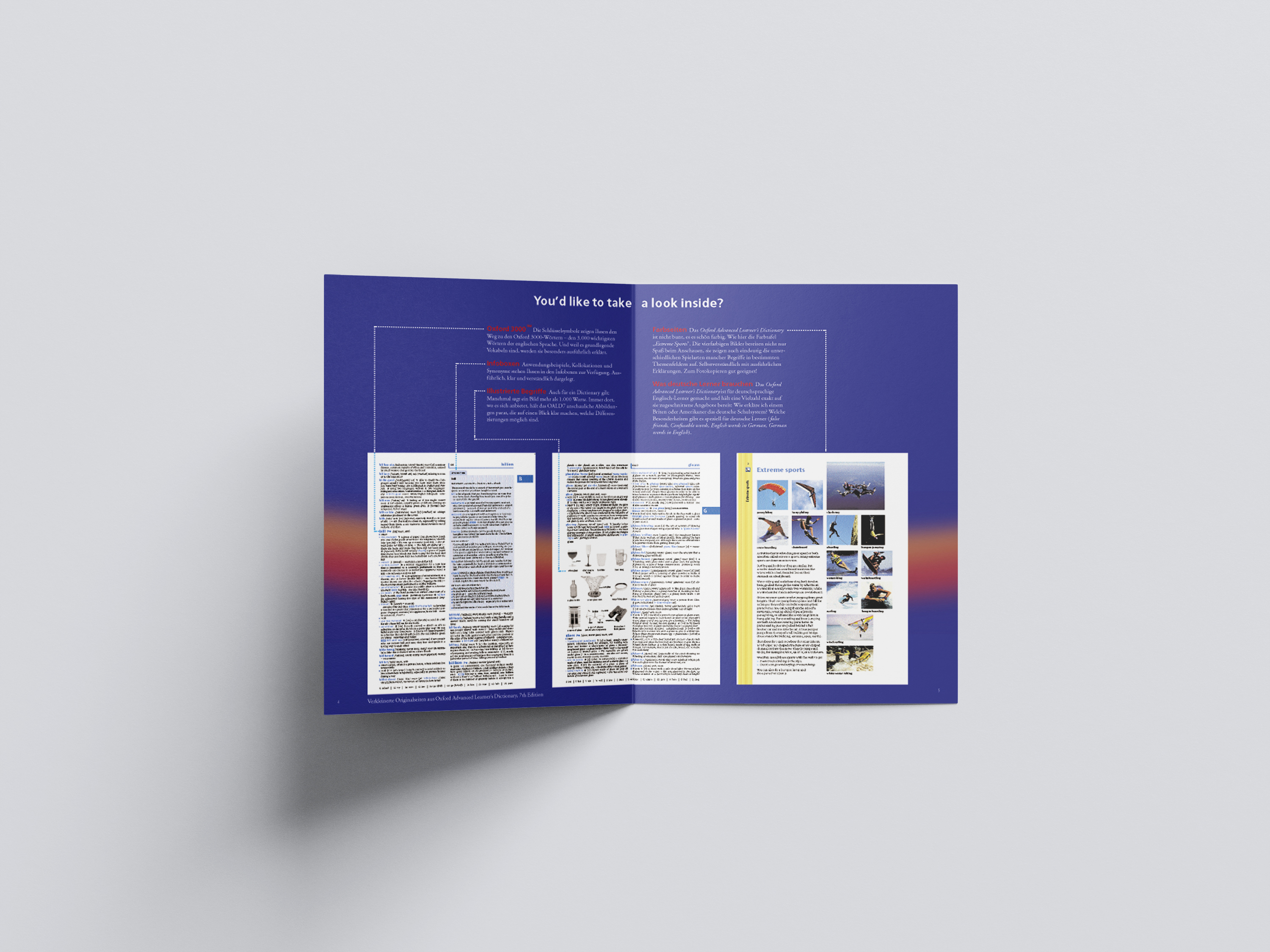 hans schumacher projektgrafik