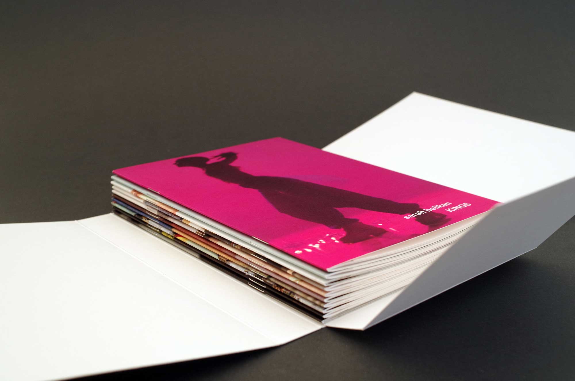 hans schumacher projektgrafik