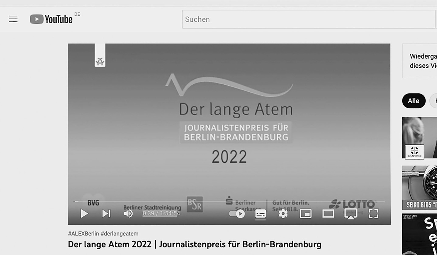 hans schumacher projektgrafik