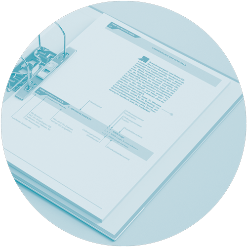  hans schumacher projektgrafik