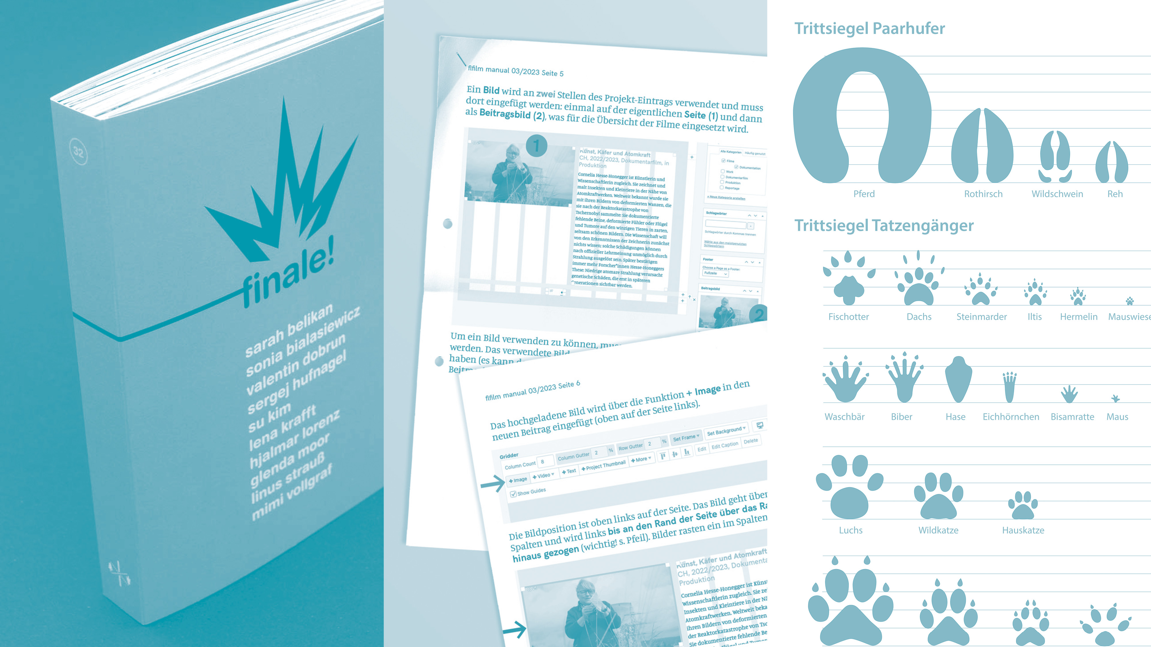 hans schumacher projektgrafik