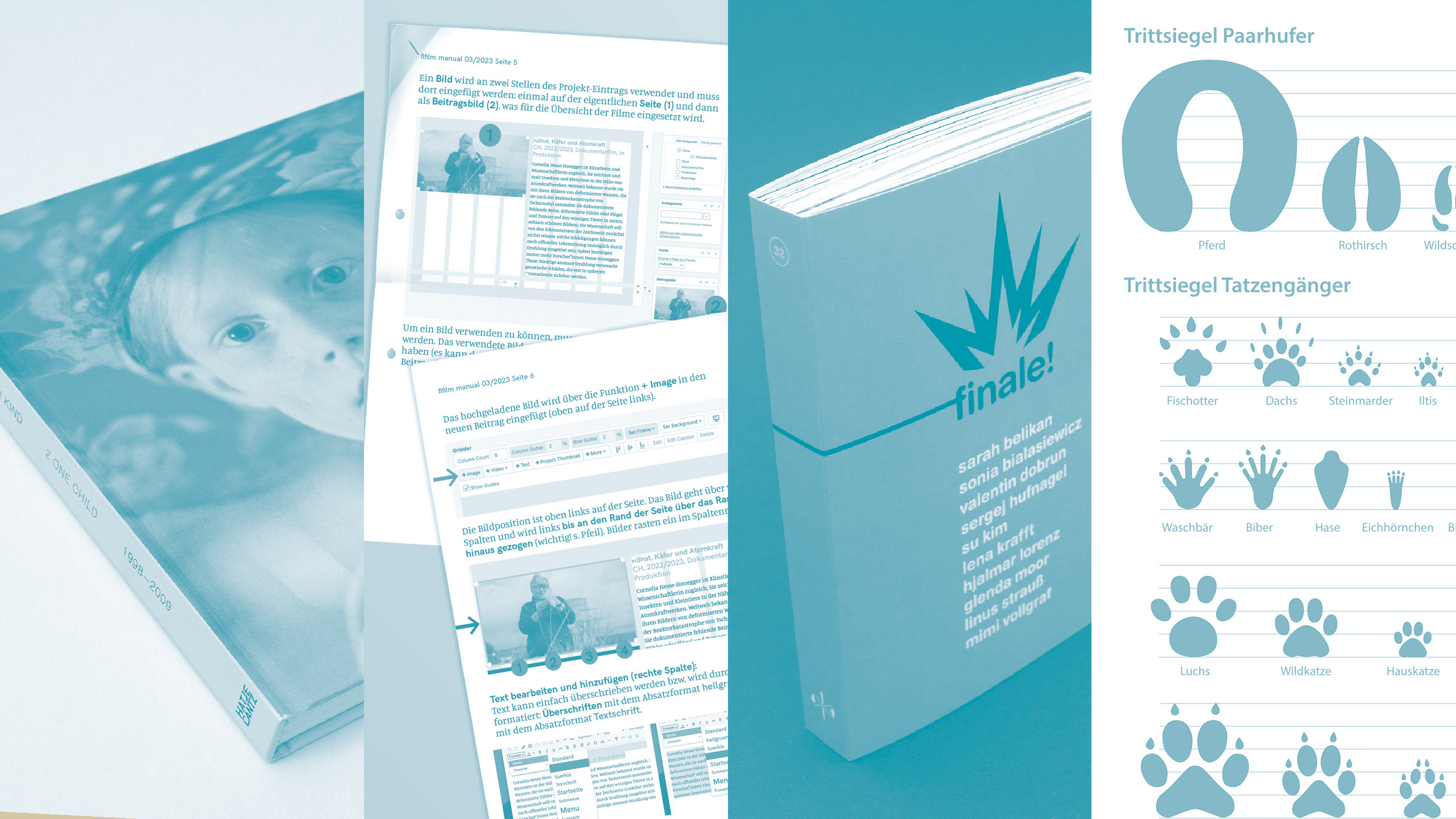  hans schumacher projektgrafik