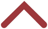 hans schumacher projektgrafik
