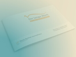 hans schumacher | projektgrafik